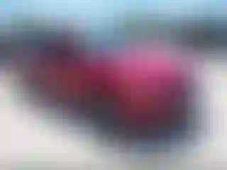 Vehicle Image- 2017 Ford Fusion