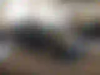 Vehicle Image- 2015 Ford Fusion