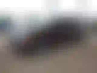 Vehicle Image- 2017 Ford Fusion