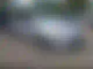 Vehicle Image- 2017 Ford Fusion