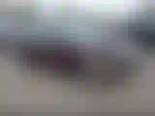 Vehicle Image- 2013 Ford Fusion