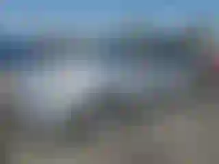 Vehicle Image- 2016 Ford Fusion