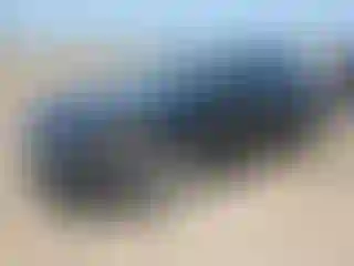 Vehicle Image- 2017 Ford Fusion