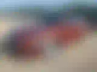 Vehicle Image- 2014 Ford Fusion