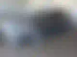 Vehicle Image- 2015 Ford Fusion