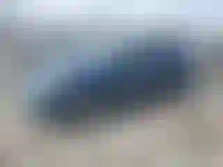 Vehicle Image- 2018 Ford Fusion