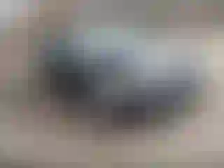 Vehicle Image- 2015 Ford Fusion