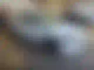 Vehicle Image- 2017 Ford Fusion