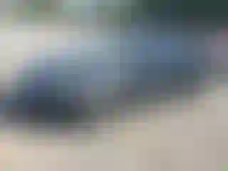 Vehicle Image- 2013 Ford Fusion