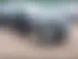 Vehicle Image- 2014 Ford Fusion
