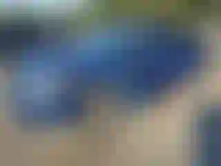 Vehicle Image- 2017 Ford Fusion