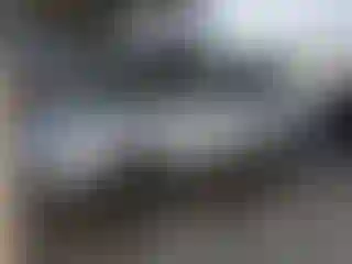 Vehicle Image- 2017 Ford Fusion