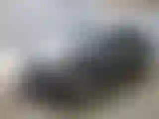 Vehicle Image- 2014 Ford Fusion