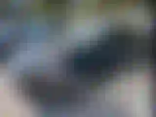 Vehicle Image- 2017 Ford Fusion