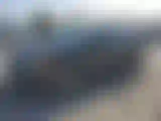 Vehicle Image- 2019 Ford Fusion