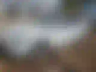 Vehicle Image- 2015 Ford Fusion