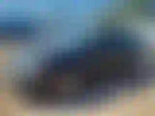 Vehicle Image- 2016 Ford Fusion