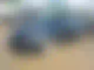 Vehicle Image- 2020 Ford Fusion