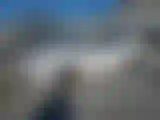 Vehicle Image- 2019 Ford Fusion