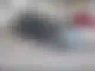 Vehicle Image- 2020 Ford Fusion