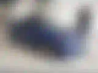 Vehicle Image- 2015 Ford Fusion