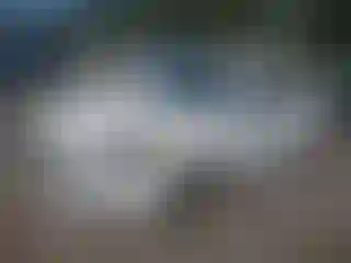 Vehicle Image- 2017 Ford Fusion