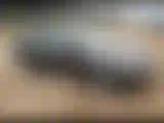 Vehicle Image- 2018 Ford Fusion