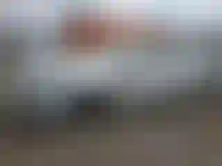 Vehicle Image- 2019 Ford Fusion