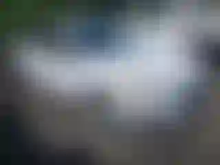 Vehicle Image- 2020 Ford Fusion