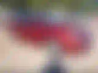 Vehicle Image- 2014 Ford Fusion