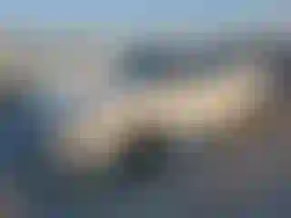 Vehicle Image- 2019 Ford Fusion