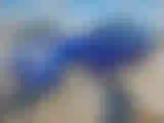 Vehicle Image- 2016 Ford Fusion