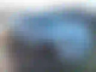 Vehicle Image- 2016 Ford Fusion