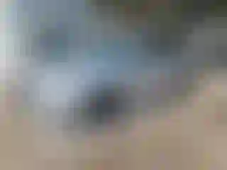 Vehicle Image- 2019 Ford Fusion