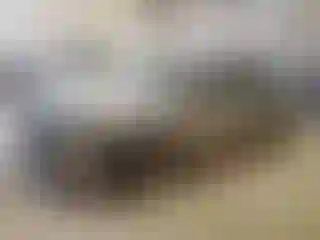 Vehicle Image- 2020 Ford Fusion