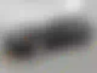 Vehicle Image- 2019 Ford Fusion