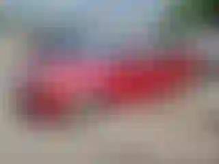 Vehicle Image- 2017 Ford Fusion