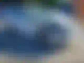 Vehicle Image- 2020 Ford Fusion