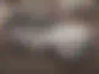 Vehicle Image- 2014 Ford Fusion