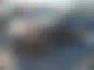 Vehicle Image- 2013 Ford Fusion