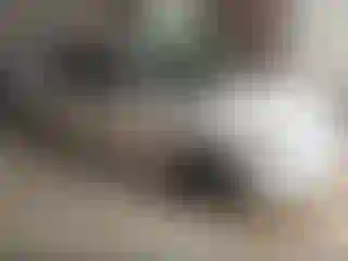 Vehicle Image- 2013 Ford Fusion