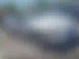 Vehicle Image- 2013 Ford Fusion