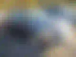 Vehicle Image- 2013 Ford Fusion