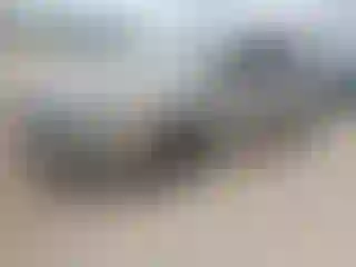 Vehicle Image- 2015 Ford Fusion