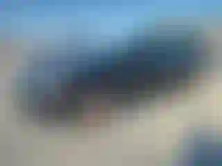 Vehicle Image- 2016 Ford Fusion