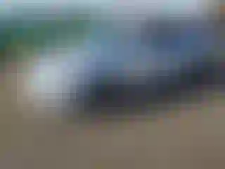 Vehicle Image- 2016 Ford Fusion