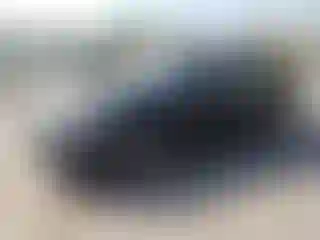 Vehicle Image- 2019 Ford Fusion