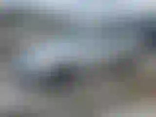 Vehicle Image- 2015 Ford Fusion