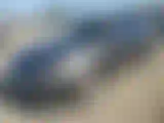 Vehicle Image- 2016 Ford Fusion