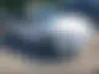 Vehicle Image- 2020 Ford Fusion